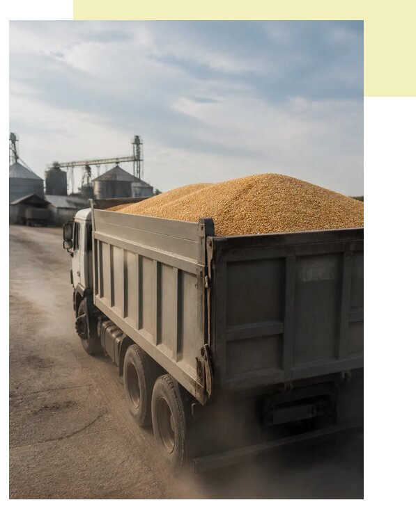 Перевозка сельхозпродукции навалом в Протвино по цене от 3053 р. | Агросервис-Прн